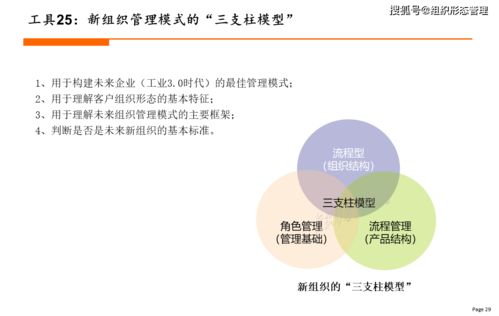 2021年新组织设计工具大全 赛事活动组织策划指南